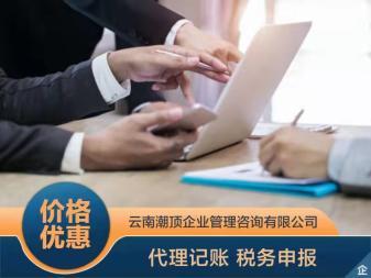 代理记账 财税服务 注册公司提供地址 公司变更 内资公司注册 注销公司