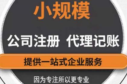 湛江代理记账税务纳税申报提供内资公司注册 外资公司注册 公司注册等服务