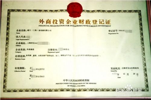 在上海怎么注册外资公司