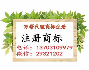 邯郸公司注册 内资公司注册 领取营业执照等 无地址办人力资源专业