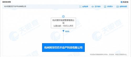 阿里巴巴不动产科技公司成立