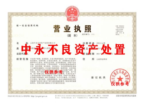 不良资产处置公司可以经营哪些项目