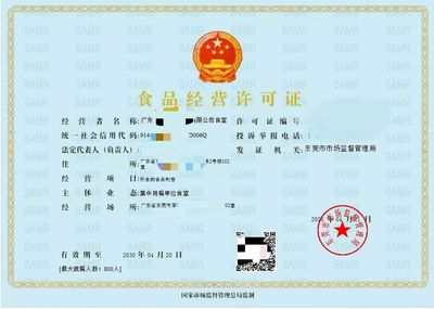 东莞内资公司注册