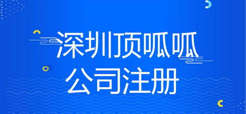 深圳新注册公司营业执照经营范围填写指南 内资公司注册必读