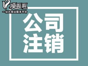 深圳内资公司注销及注册全流程详解