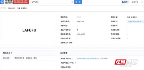 长沙市知识产权局服务指南 内资公司注册流程与知识产权保护